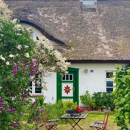 Ferienwohnung Sierke Wieck Esterno foto