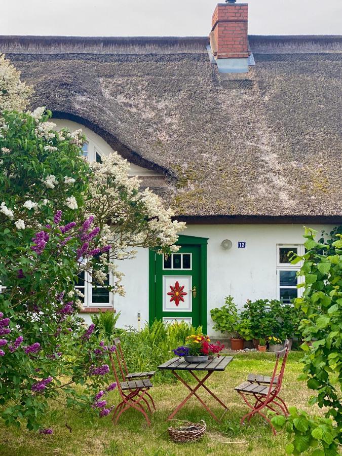 Ferienwohnung Sierke Wieck Esterno foto