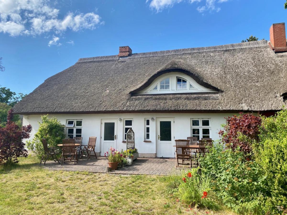 Ferienwohnung Sierke Wieck Esterno foto